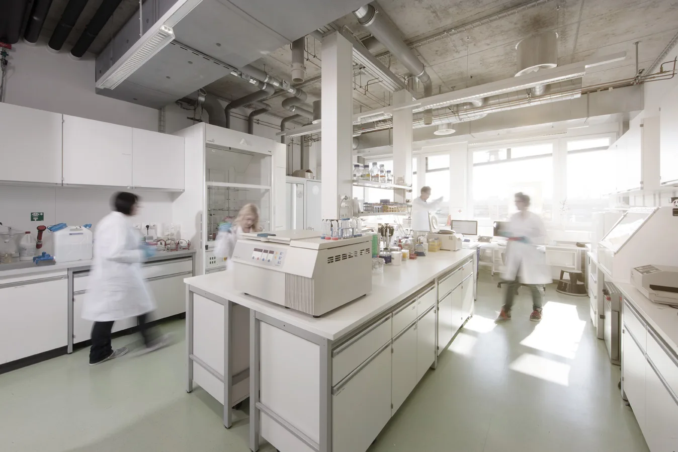 lab